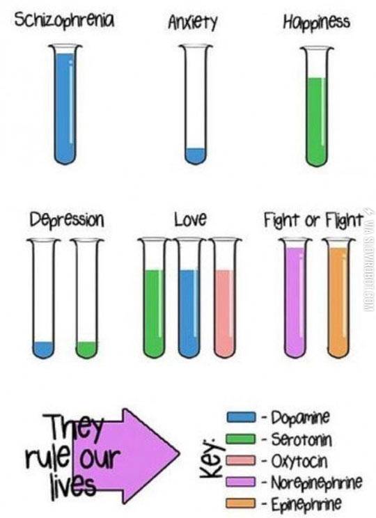 They+rule+our+lives.