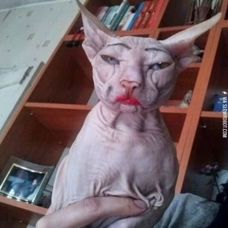 When+a+70+year+old+woman+tries+to+look+like+a+20+year+old.