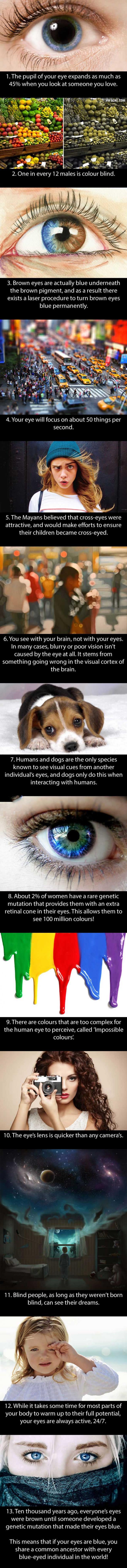 13+incredible+facts+about+your+eyes