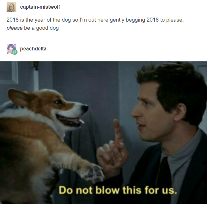Year+of+the+dog