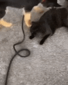 I+told+you+he+was+trying+to+kill+me%2C+John%26%238230%3B