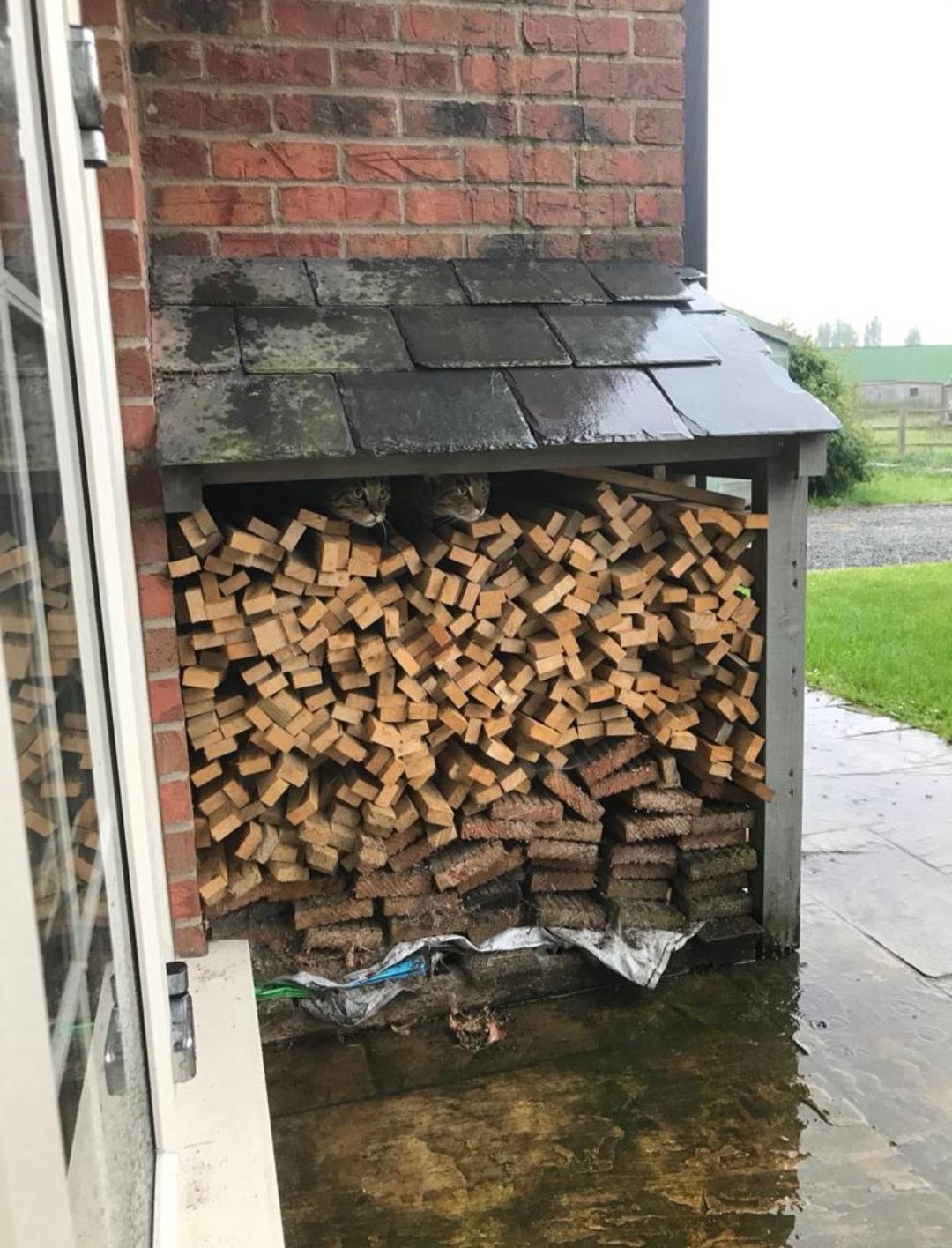 Waiting+the+storm+out.