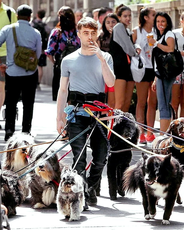 Harry+Potter+and+the+Chamber+of+Dogs