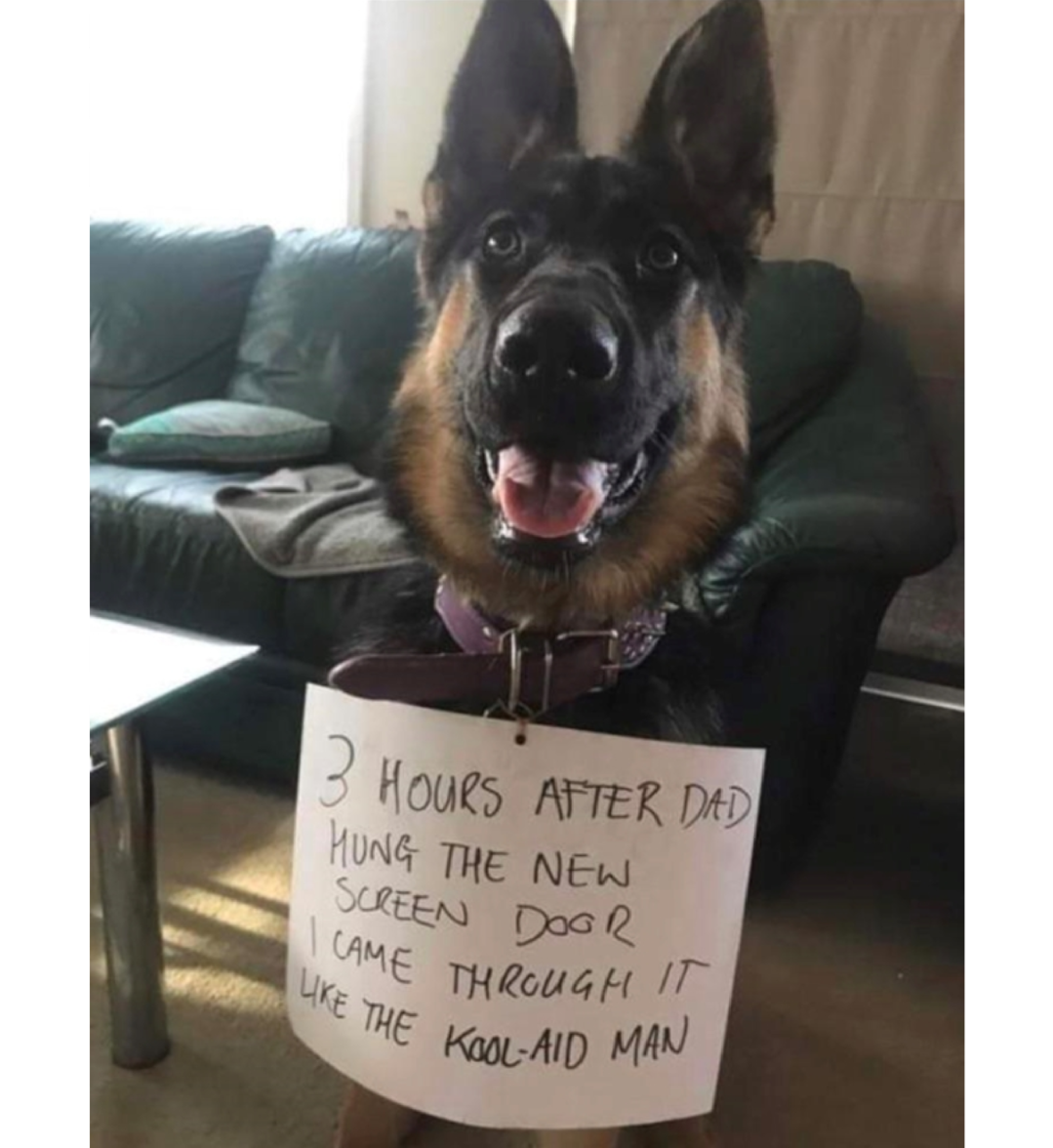 Ruff+entry%26%238230%3B