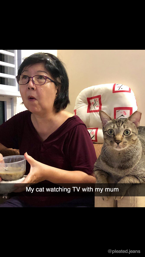 Mum+and+the+cat+watch+soap+opera%26%238217%3Bs+together.