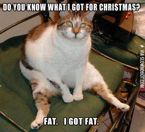 What+I+got+for+Christmas.