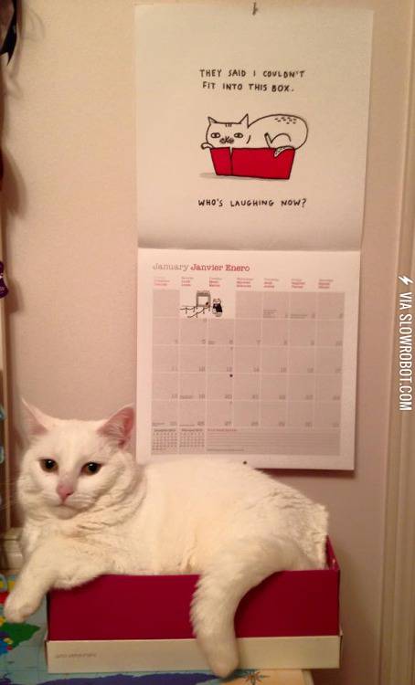 They+said+I+couldn%26%238217%3Bt+fit+in+the+box%26%238230%3B