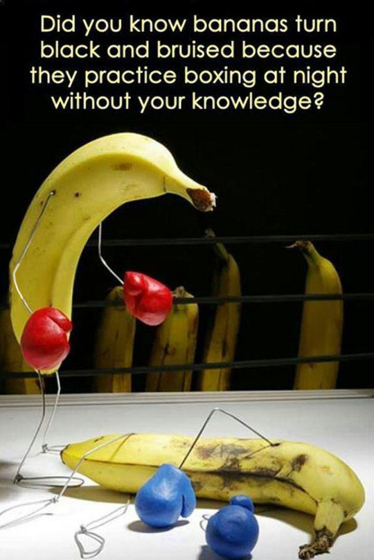 Banana+Fact