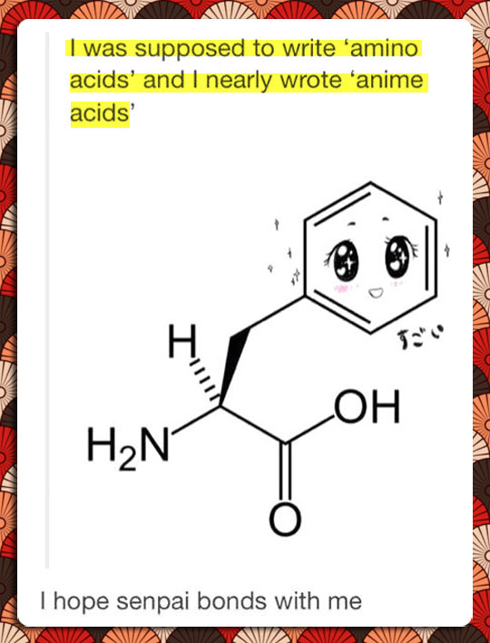 Anime+Amino+Acid