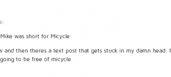 Micycle