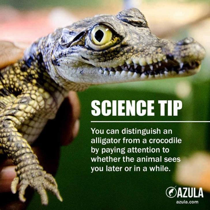 Important+science+tip
