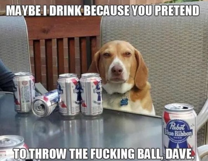 Drunk+doggo