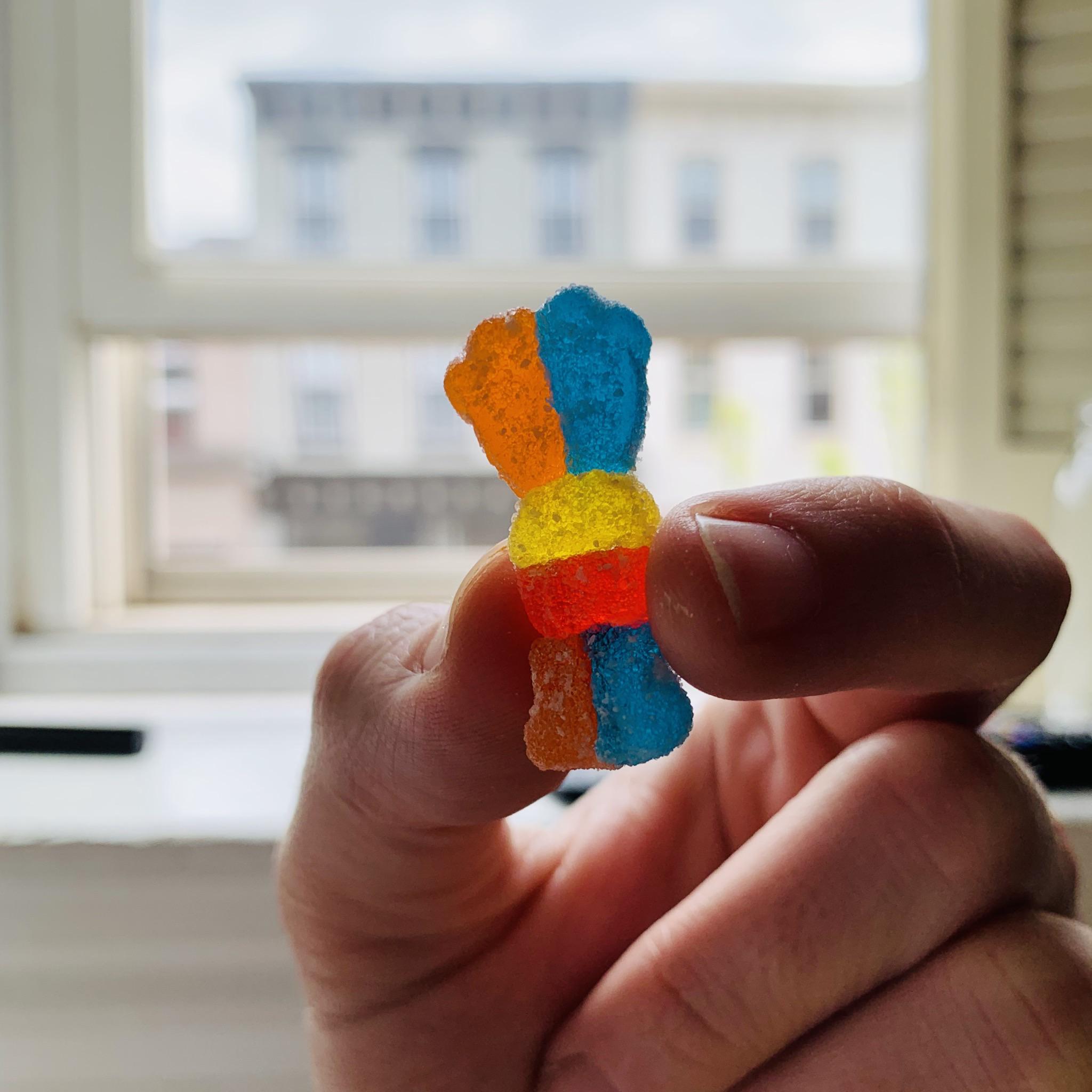 Quarantine+Day+439%3A+Doctor+has+successfully+performed+a+six-way+full+body+reconstructive+surgery.