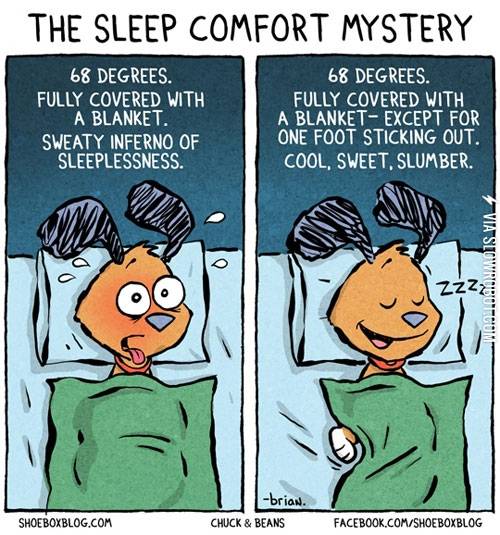 The+sleep+comfort+mystery.