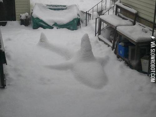 I%26%238217%3Bm+afraid+to+leave+my+house+now.