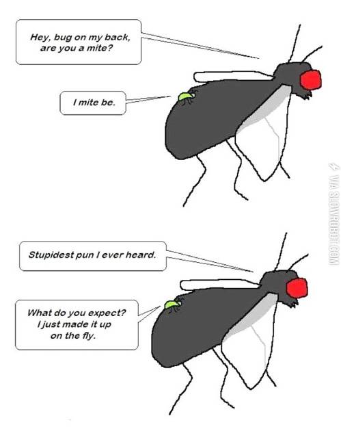 Stupidest+pun+I+ever+heard.