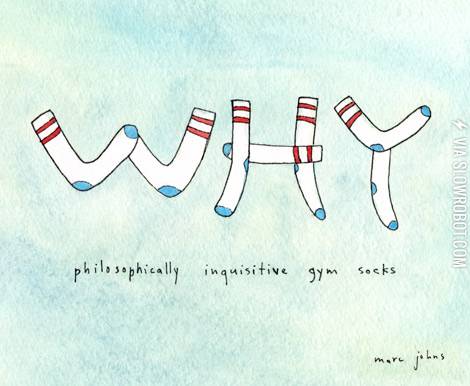 Philosophically+inquisitive+gym+socks.