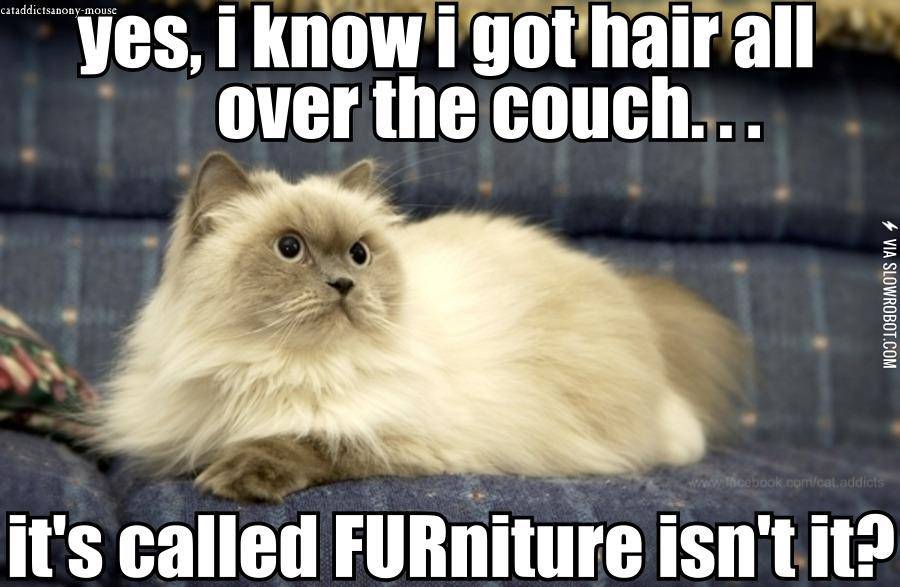 Furniture.