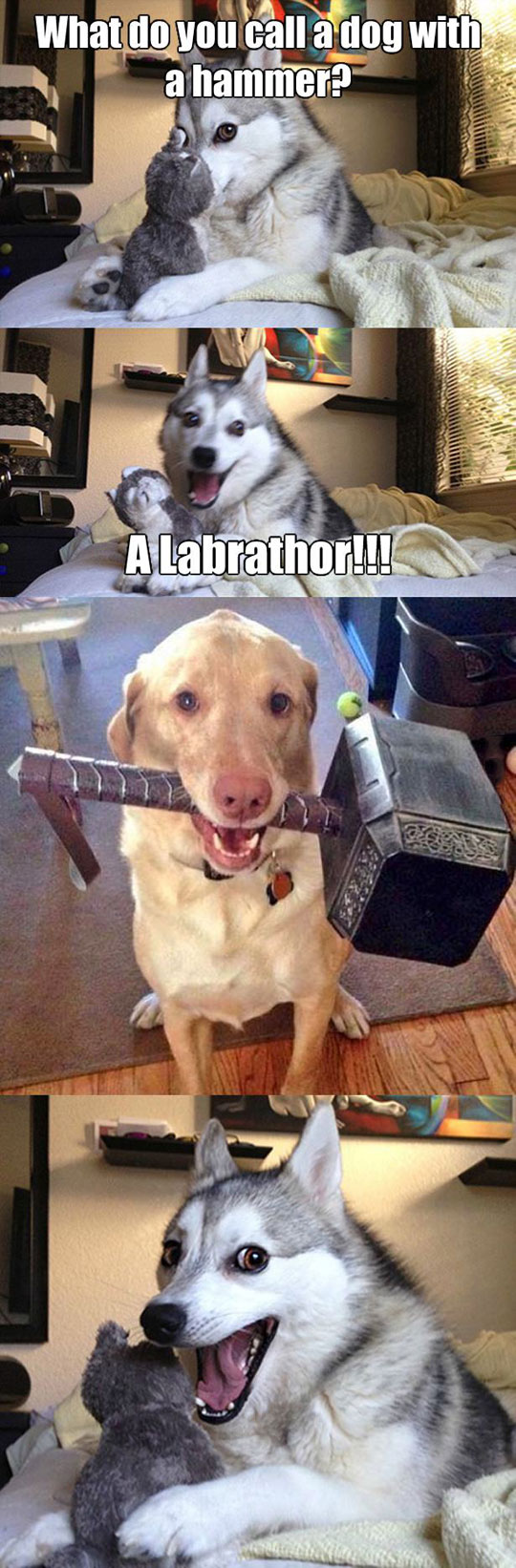 Dog+With+A+Hammer