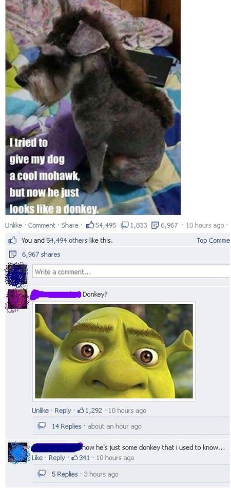 Now+He%26%238217%3Bs+Just+Some+Donkey