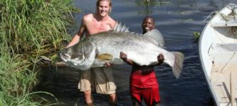 The+African+version+of+a+Large+Mouth+Bass+is+the+Nile+Perch.
