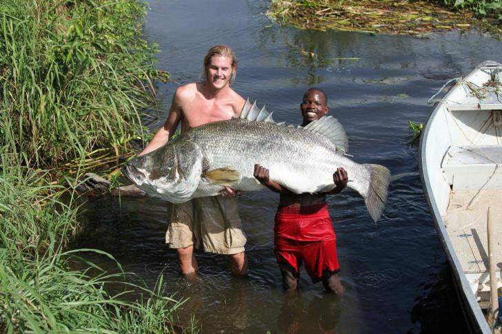 The+African+version+of+a+Large+Mouth+Bass+is+the+Nile+Perch.