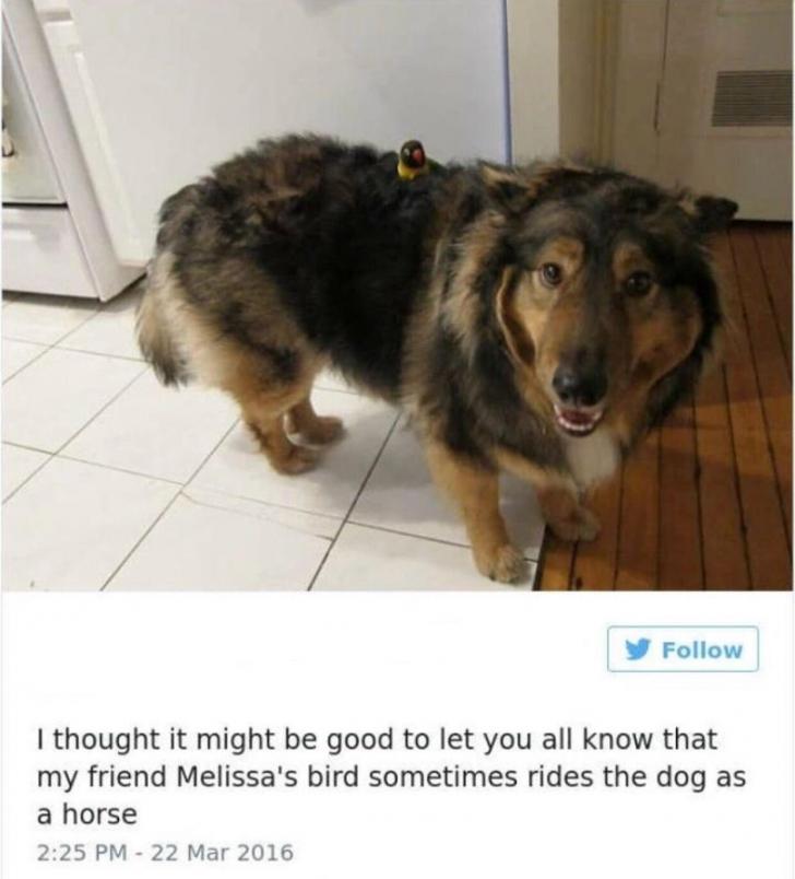 Unexpected%2C+but+pleasant+duo