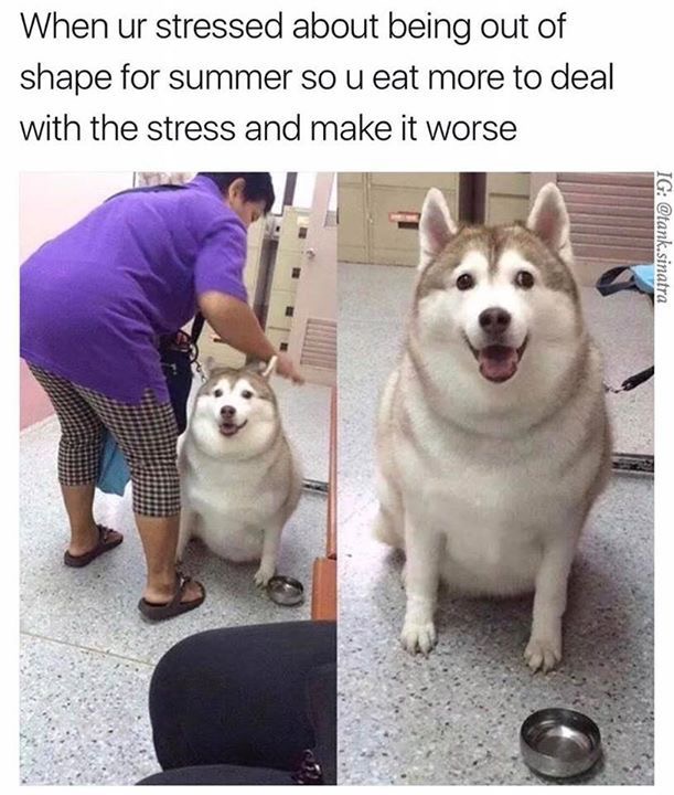 I%26%238217%3Bm+bulking%21