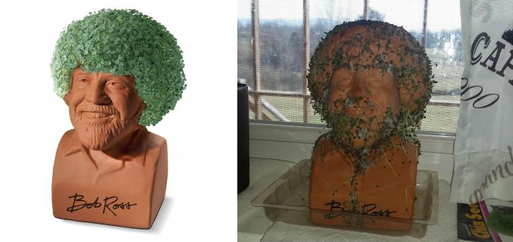 We+got+a+Bob+Ross+Chia+Pet+for+Christmas%21