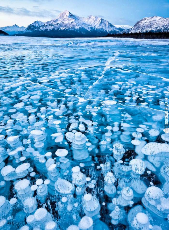 Ice+bubbles+below+Abraham+lake.