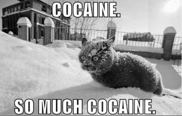 Cocaine%2C+just+cocaine