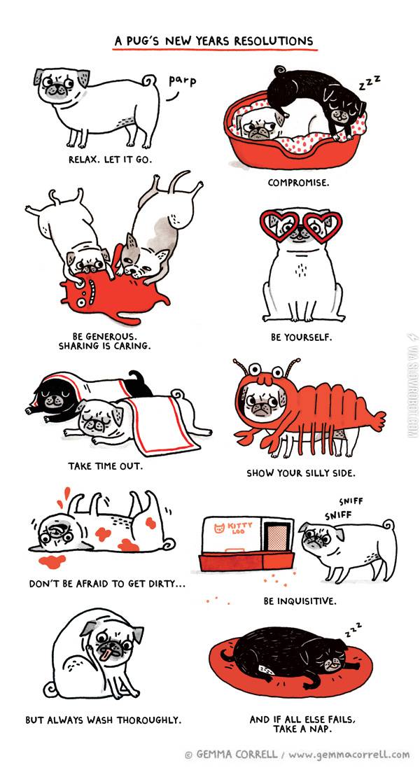 A+pug%26%238217%3Bs+New+Years+resolutions.