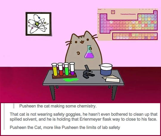 Kitty+Doing+Chemistry