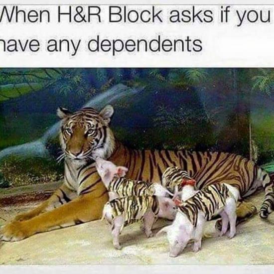 1k%2Fchild+x+3+%3D+%243%2C000.