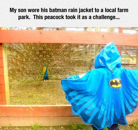 You+have+made+a+powerful+enemy+today