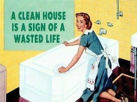 A+Clean+House+Is+A+Sign+Of+A+Wasted+Life