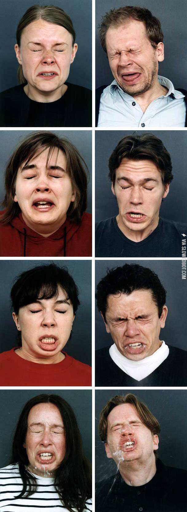 Mid-sneeze+portraits.