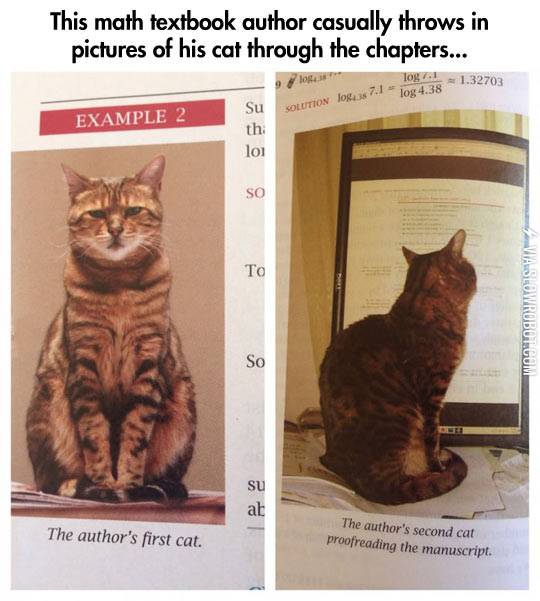 You%26%238217%3Bre+doing+it+right.