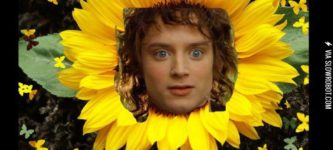 Frodo-synthesis