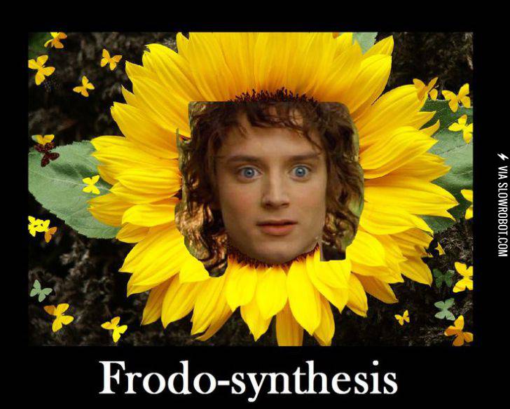 Frodo-synthesis