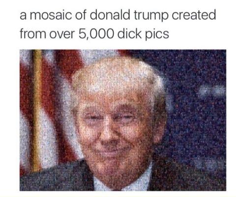 This+is+a+whole+new+level+of+MAJESTIC