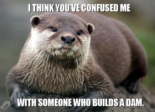 Must+have+been+some+otter+guy