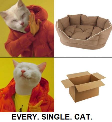 Every.+Single.+Cat.