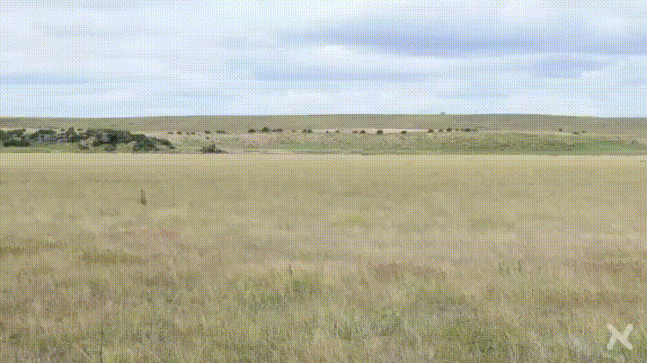 A+completely+accurate+recreation+of+medeval+warfare.