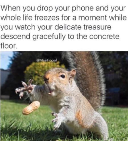 When+You+Drop+Your+Phone%26%238230%3B