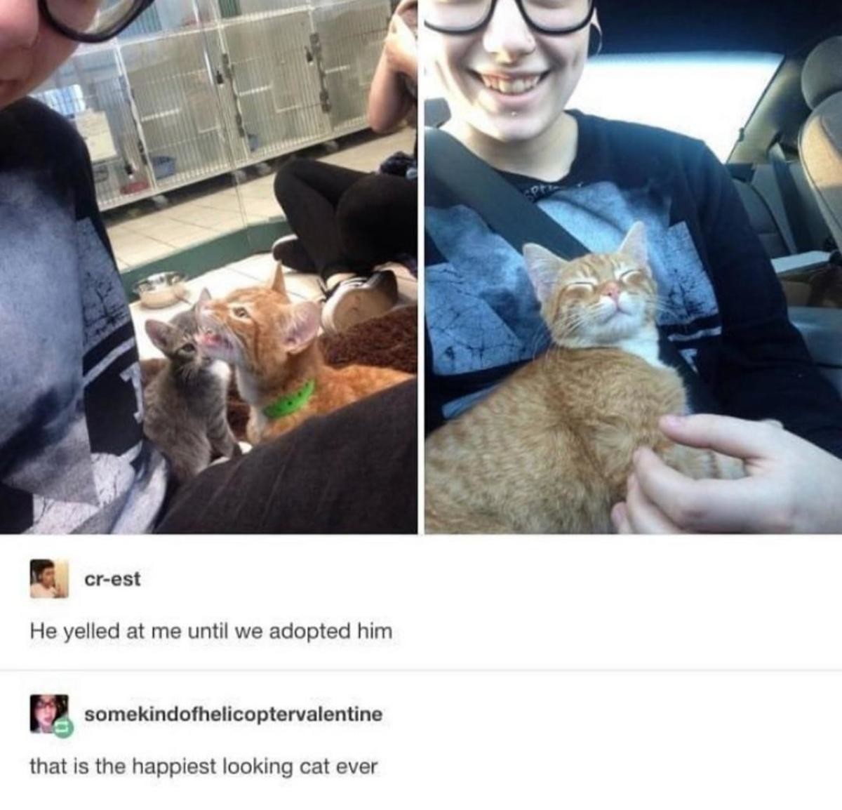 IF+I+SCREAM+I+SUMMON+HUMAN+SERVANTS