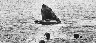 The+original+and+unused+death+scene+for+the+kid+in+Jaws