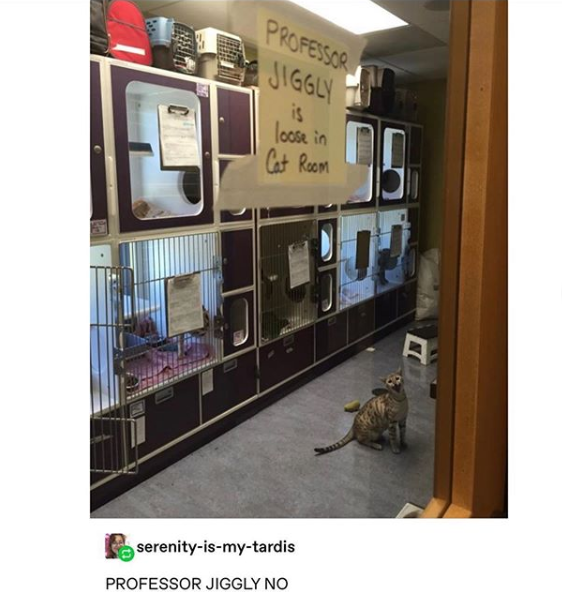 Professor+Jiggly+is+loose