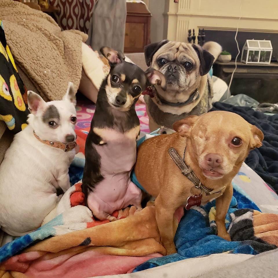 They+are+a+unique+family.