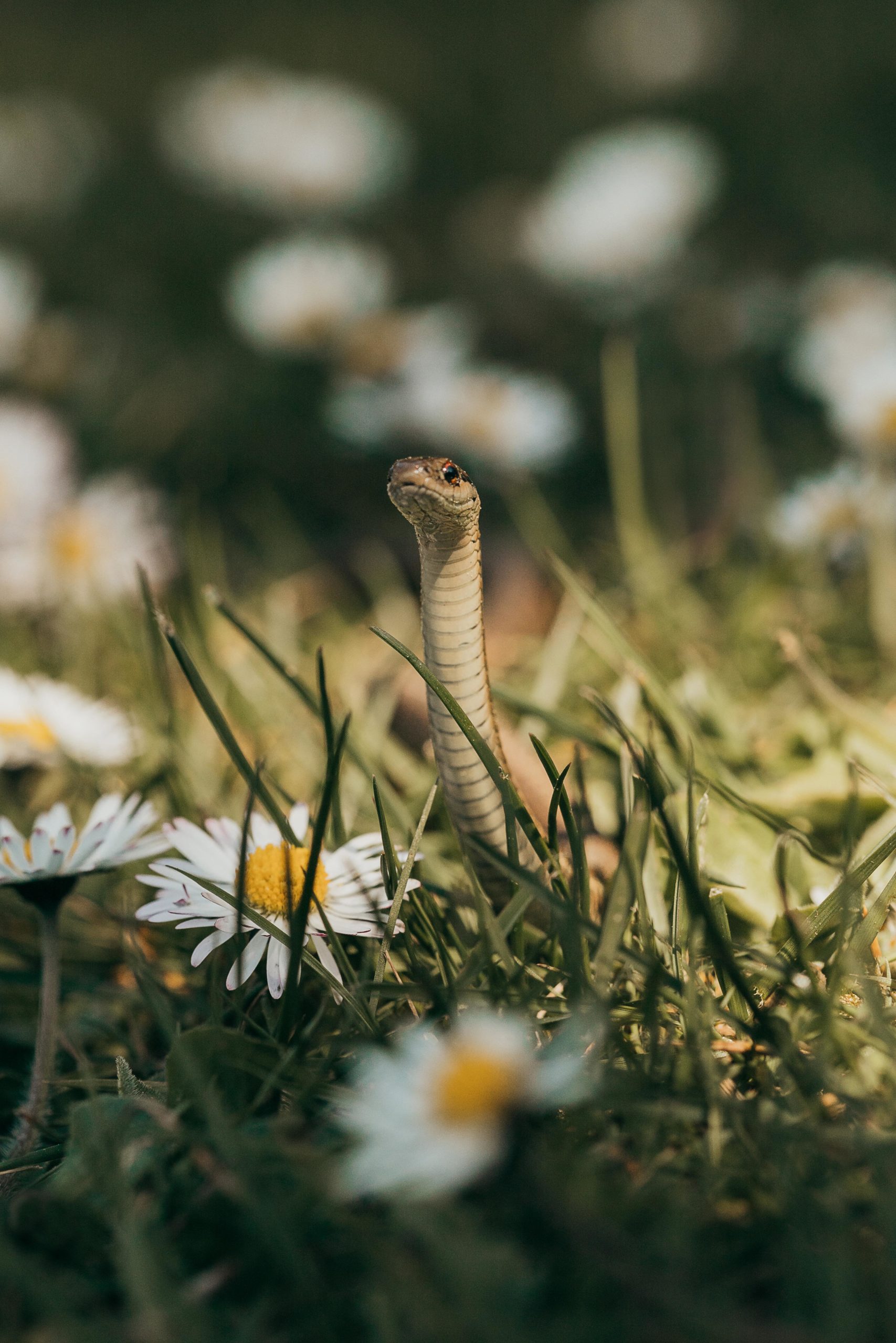 Danger+nood+says+what%26%238217%3Bs+up.